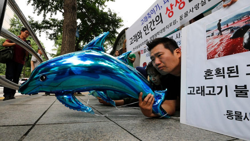 South Korea Whaling_Pata.jpg